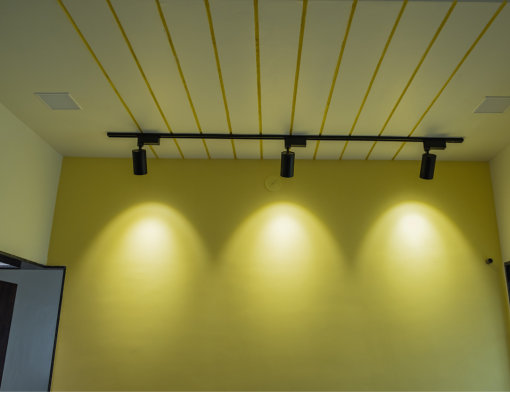Track Light